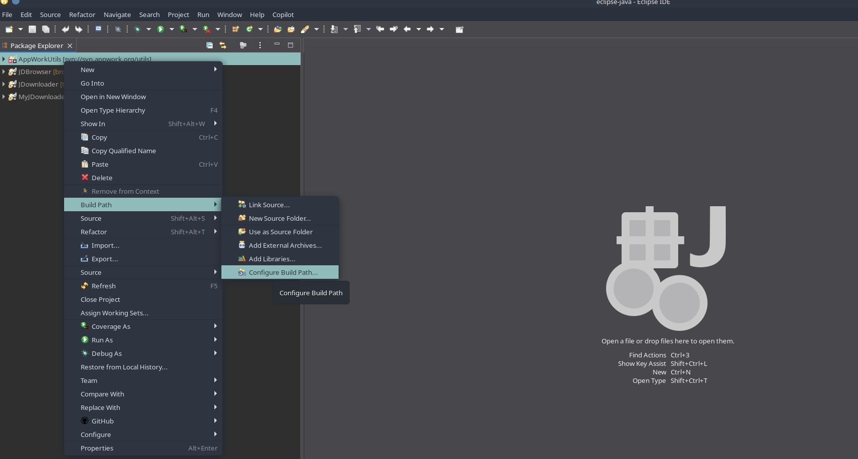Screenshot from the Java and JDownloader walkthrough